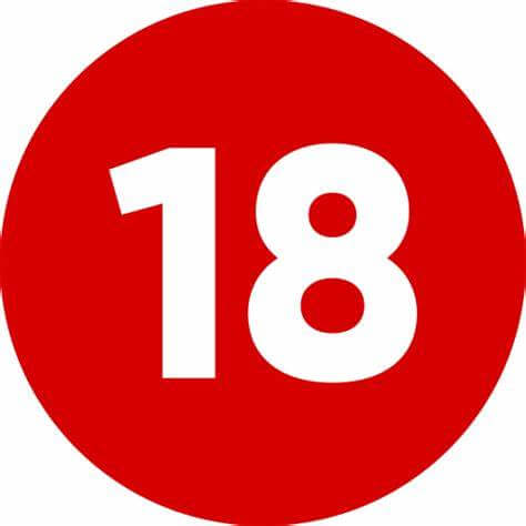 Restricción 18+ - Juego solo para adultos